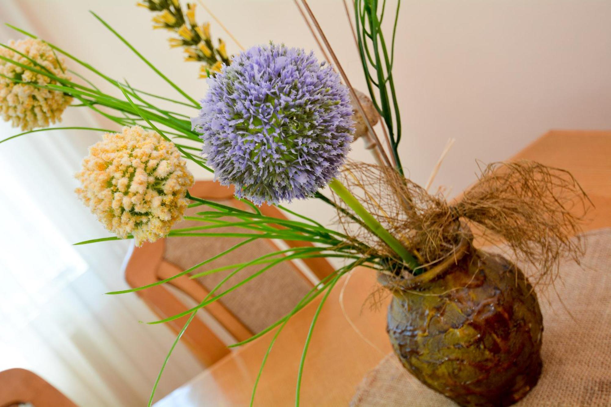 קוטור Apartments Jovanovic חדר תמונה